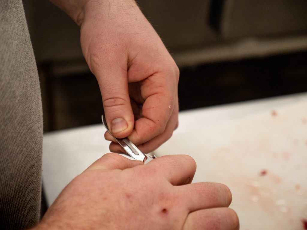 FRA replaceable blade knife test, Free Range American